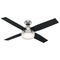 Hunter Fan Company Dempsey 52-Inch LED Fan in Brushed Nickel with Black Oak Blades by Hunter Fan Company 59216