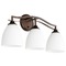 Quorum Lighting Jardin Oiled Bronze Bathroom Light by Quorum Lighting 5027-3-86
