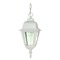 Nuvo Lighting Briton White Outdoor Hanging Light by Nuvo Lighting 60/487