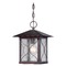 Nuvo Lighting Vega Classic Bronze Outdoor Hanging Light by Nuvo Lighting 60/5614
