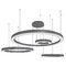 Avenue Lighting Aria Polished Black LED Ring Chandelier by Avenue Lighting HF4444-BK