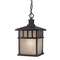 Dolan Designs Lighting Hanging Outdoor Pendant Light in Winchester 9113-68