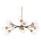 Maxim Lighting Savvy Antique Brass & Black Chandelier by Maxim Lighting 26347CLABBK