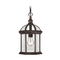 Nuvo Lighting Outdoor Hanging Light with Clear Glass in Rustic Bronze by Nuvo Lighting 60/4978