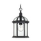 Nuvo Lighting Outdoor Hanging Light with Clear Glass in Textured Black by Nuvo Lighting 60/4979