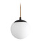 Oxygen Luna 6-Inch LED Globe Pendant in Oiled Bronze by Oxygen Lighting 3-670-22