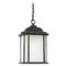 Generation Lighting Kent Oxford Bronze Outdoor Hanging Light by Generation Lighting 60531-746