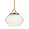 Kichler Lighting Nella 16.50-Inch Pendant in Champagne Bronze by Kichler Lighting 52783CPZ