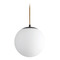 Oxygen Luna 10-Inch LED Globe Pendant in Oiled Bronze by Oxygen Lighting 3-672-22