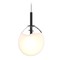 Sonneman Lighting Black LED Pendant by Sonneman Lighting 2990.25W-SML