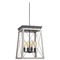 Progress Lighting Briarwood Graphite Pendant by Progress Lighting P500178-143