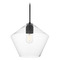 Maxim Lighting Maxim Lighting Geode Black Pendant Light with Bowl / Dome Shade 21337CLBK