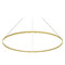 Kuzco Lighting Kuzco Lighting Cerchio Brushed Gold LED Pendant Light PD87160-BG-UNV-010
