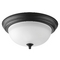 Progress Lighting Melon Forged Black Flush Mount by Progress Lighting P3925-80