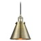 Innovations Lighting Appalachian Antique Brass Mini Pendant by Innovations Lighting 201C-AB-M13-AB