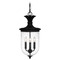 Quoizel Lighting Quoizel Lighting Havana Earth Black Outdoor Hanging Light HVN1910EK