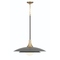 Eurofase Lighting Welsh 24-Inch Pendant in Gray by Eurofase 46785-039