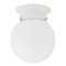 Capital Lighting Globe Flush Mount in White by Capital Lighting 5569WH