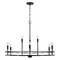 HomePlace by Capital Lighting Fuller 9-Light Chandelier in Black by HomePlace by Capital Lighting 448791MB