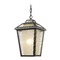 Z-Lite Memphis Outdoor Oil Rubbed Bronze Outdoor Hanging Light by Z-Lite 532CHM-ORB