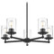 Z-Lite Z-Lite Thayer Matte Black Chandelier 742-5MB