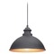Progress Lighting Englewood Black Outdoor Hanging Light by Progress Lighting P550032-031