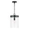 HomePlace by Capital Lighting Fuller Pendant in Matte Black by HomePlace by Capital Lighting 348711MB