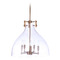 Craftmade Lighting Chardonnay Satin Brass Pendant by Craftmade Lighting 55895-SB