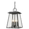 Z-Lite Broughton Black Outdoor Hanging Light by Z-Lite 521CHB-BK