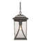 Progress Lighting Abbott Antique Bronze Outdoor Hanging Light by Progress Lighting P550040-020