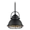 Satco Lighting Upton Dark Bronze & Gold Outdoor Hanging Light by Satco Lighting 60/7073