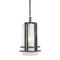 Z-Lite Abbey Outdoor Rubbed Bronze Outdoor Hanging Light by Z-Lite 550CHB-ORBZ